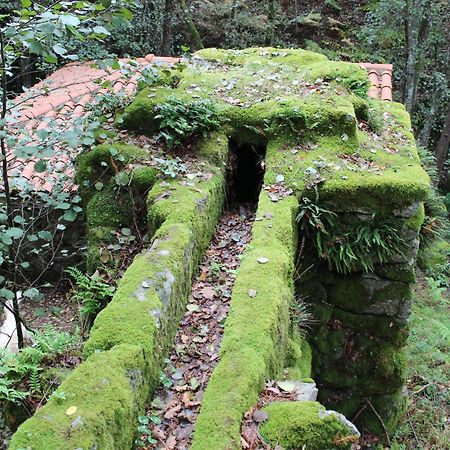 Casa Solveira Konuk evi O Pineiro Dış mekan fotoğraf
