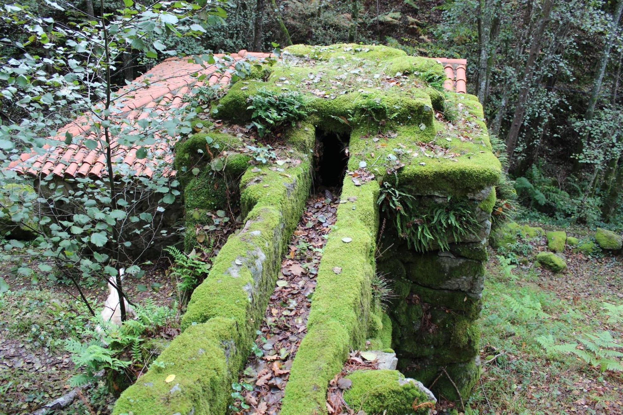 Casa Solveira Konuk evi O Pineiro Dış mekan fotoğraf