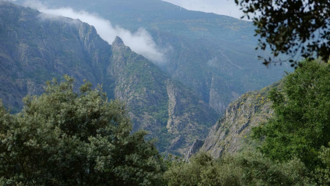 Casa Solveira Konuk evi O Pineiro Dış mekan fotoğraf